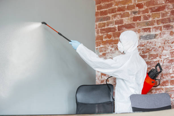 Best Mold Documentation for Insurance Claims  in Saranac Lake, NY