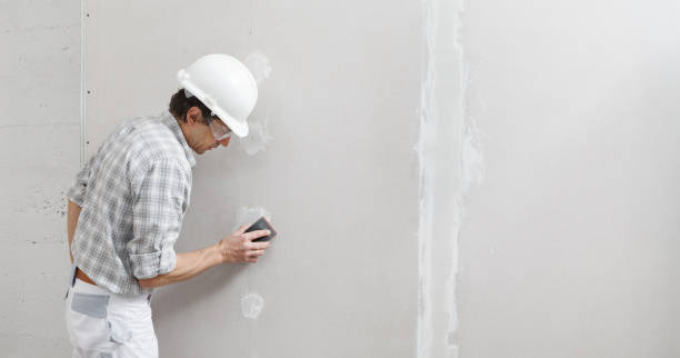 Best Mold-Related Health Consultation  in Saranac Lake, NY