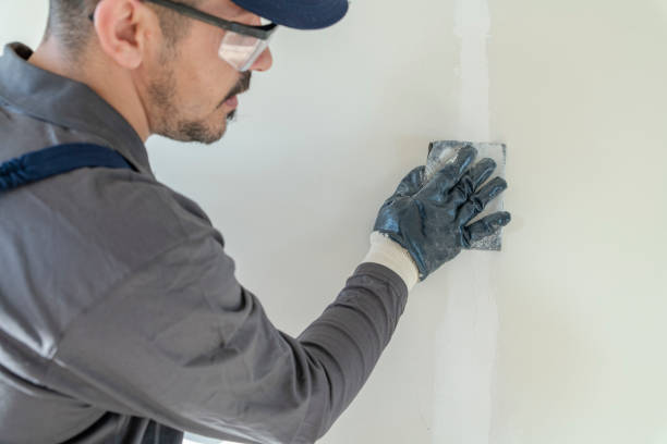 Best Mold Damage Restoration  in Saranac Lake, NY