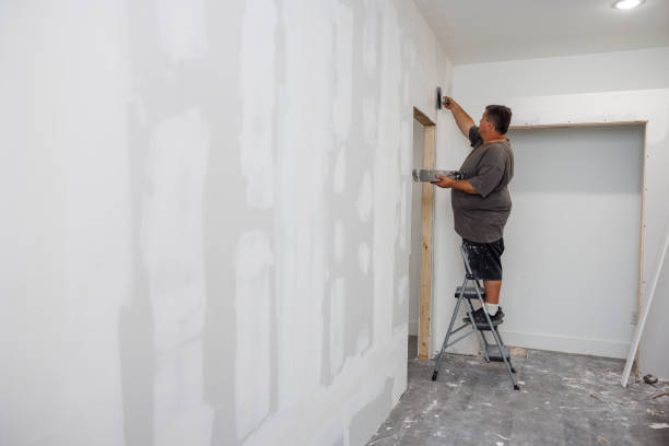 Best Forensic Mold Investigation  in Saranac Lake, NY