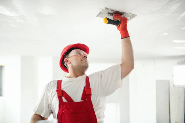 Best Black Mold Removal  in Saranac Lake, NY