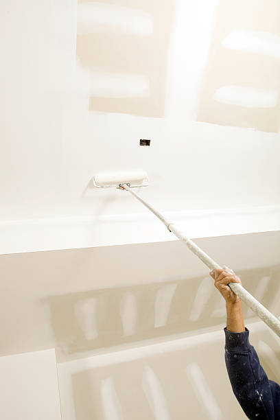 Best Mold Prevention Services  in Saranac Lake, NY