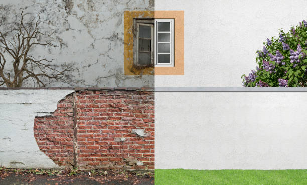 Reliable Saranac Lake, NY Mold Removal Solutions